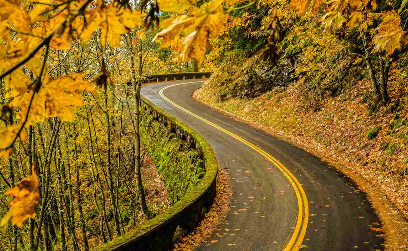 Old Columbia River Highway in the Columbia River Gorge in the fall.