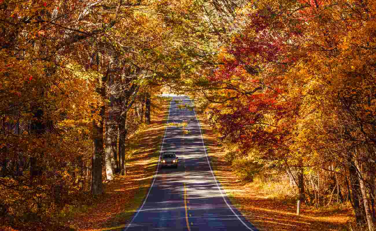 Car driving down Skyline Drive in Shenandoah National Park in the fall.