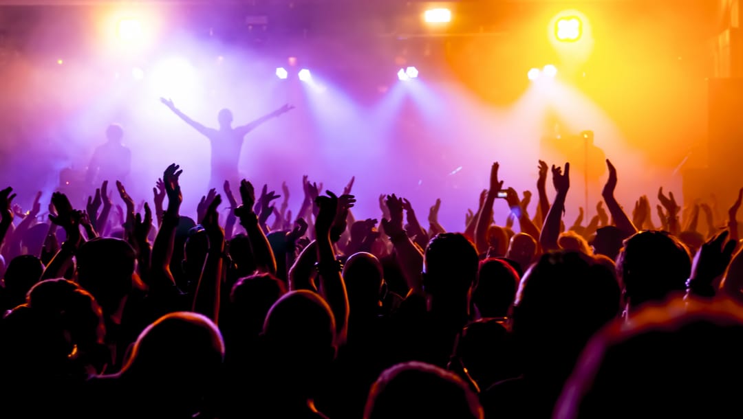 People in the crowd with their hands in the air at a music concert with a singer on stage.