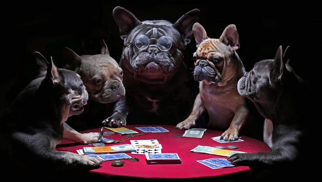 Dogs playing hot sale poker 1894