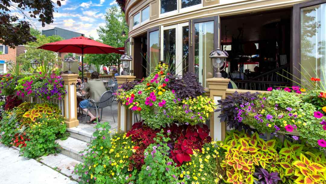 A restaurant surrounded by flowers in Niagara on the Lake in Ontario.