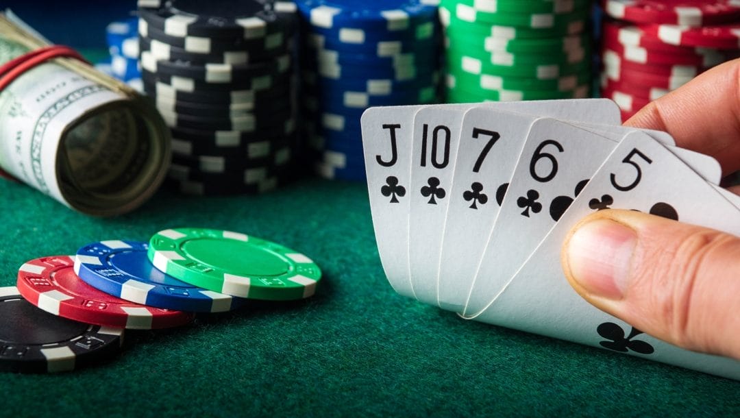 A poker player checks their flush hand, in which all five cards are clubs.