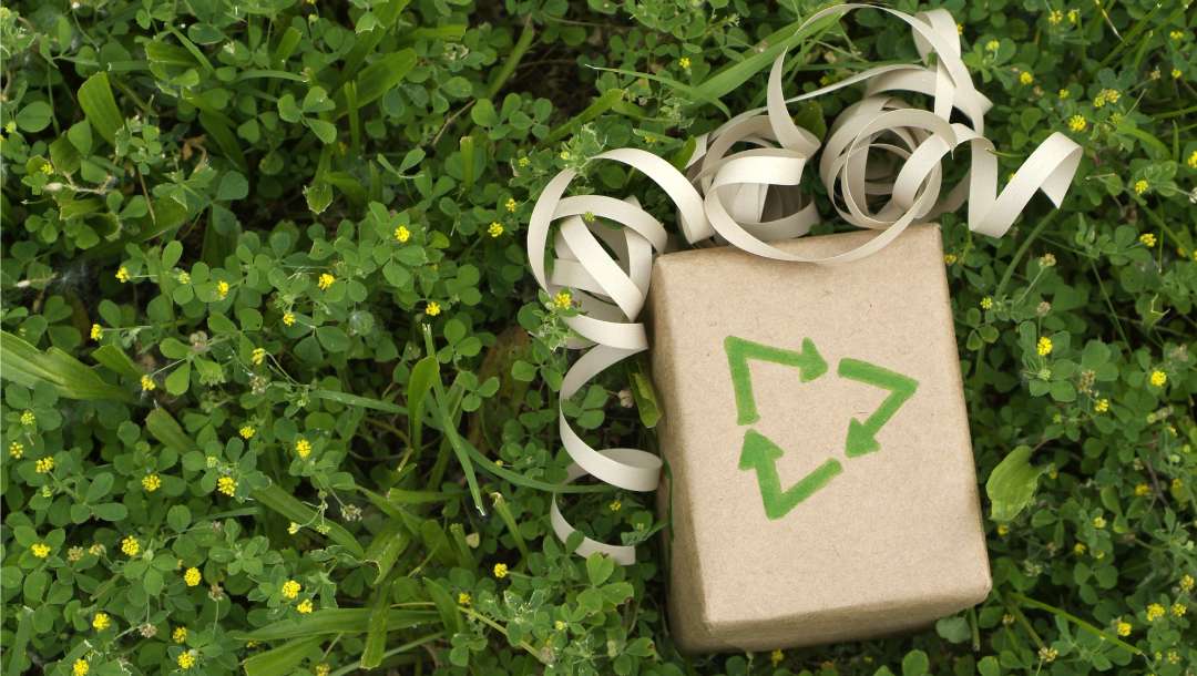 A wrapped eco-friendly gift on a field of green grass.