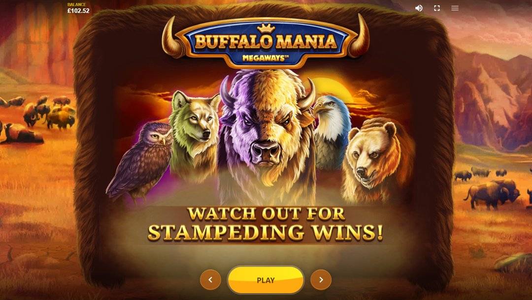 A screenshot of the intro sequence for Buffalo Mania Megaways. It shows the game title and an owl, wolf, buffalo, eagle and bear, and tells the player to watch out for stampeding wins.