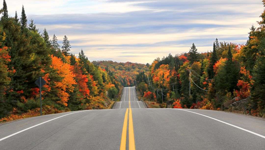 the highway going through Algonquin Park in Ontario with fall leaved trees on either side of the road