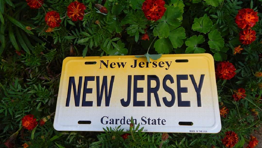A New Jersey number plate surrounded by red flowers and greenery.