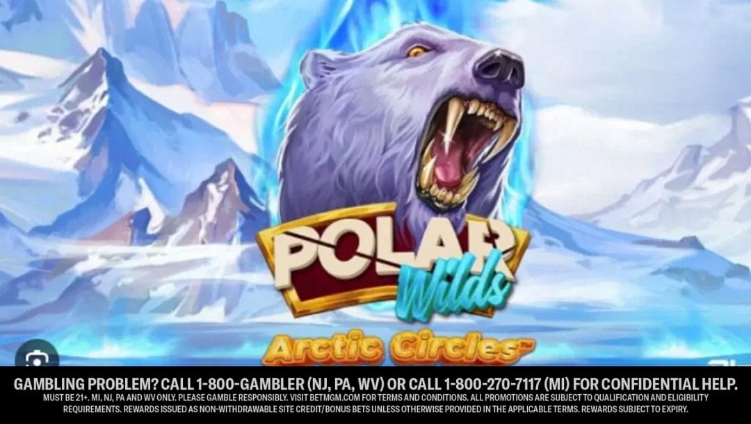 Polar Wilds Arctic Circle Casino Game Review
