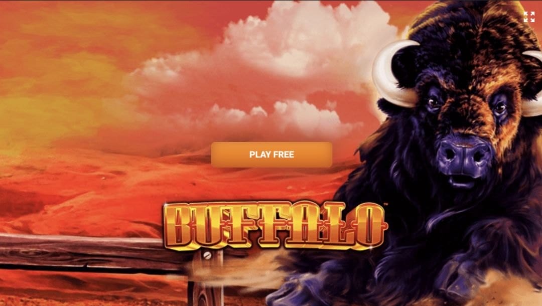 Loading screen to Buffalo by Aristocrat.