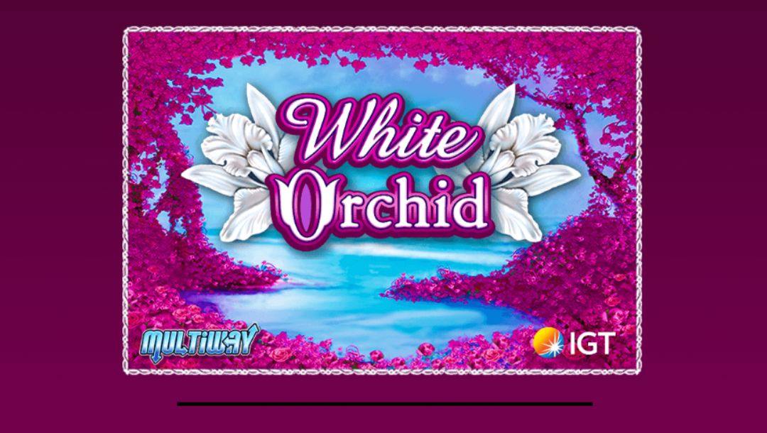 The loading screen for White Orchid, the online slot game by IGT.