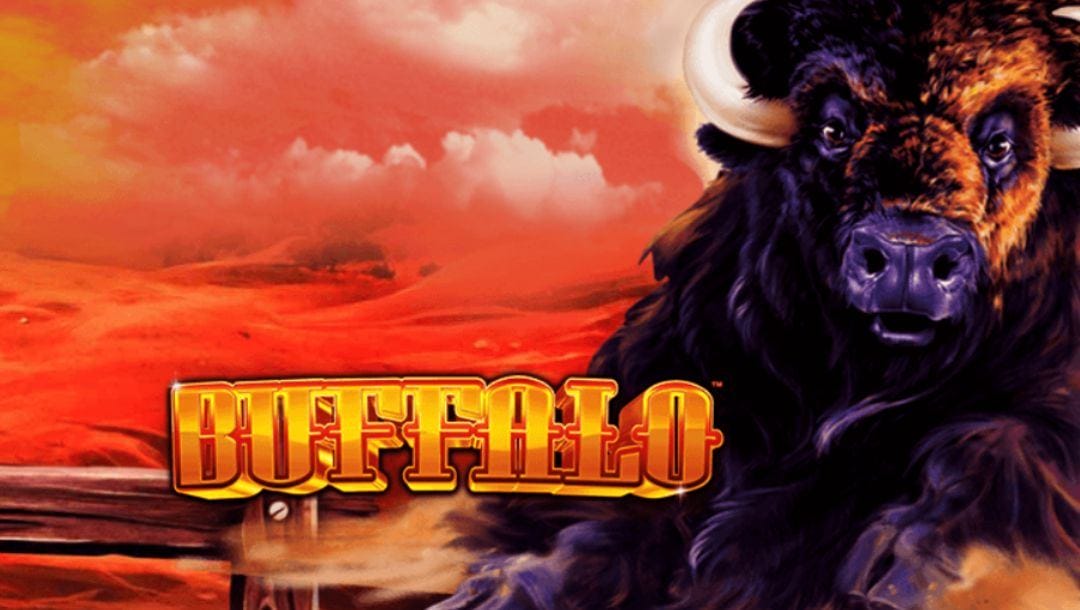 The logo of Buffalo by Aristocrat, one of the most well-known buffalo slot machines.