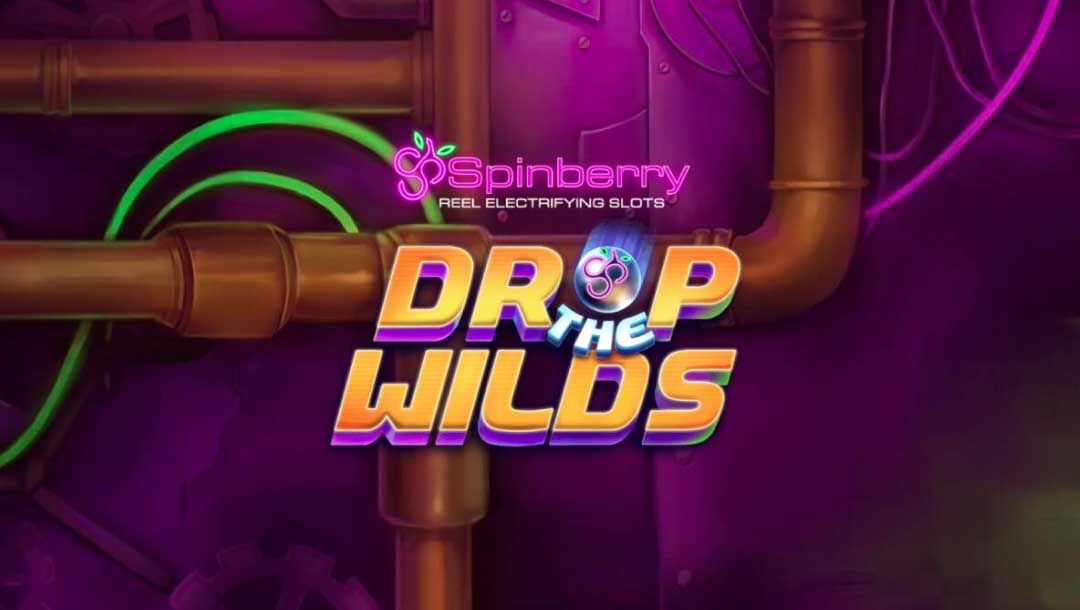 Drop the Wilds game logo in purple and yellow, with a silver and purple pinball against a purple background featuring copper pipes.