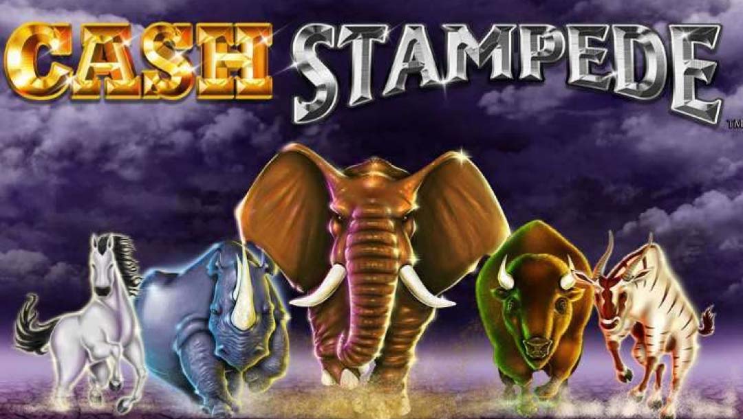 The Cash Stampede slot title screen, featuring a horse, rhino, elephant, buffalo, and antelope stampeding forward with dark clouds behind them.