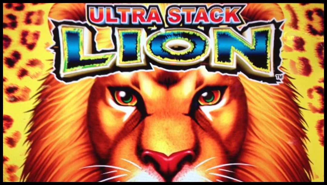 Ultra Stack online slot logo in blue, yellow, orange and white. There is a huge lion staring with piercing eyes. The lion is surrounded by leopard skin.