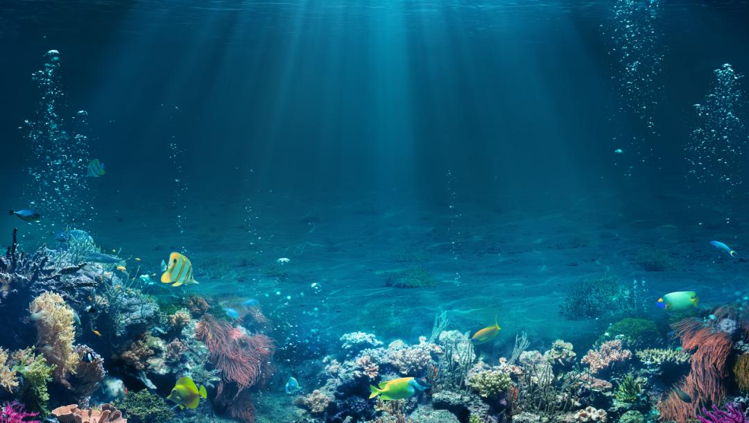 Underwater scene with a tropical seabed showing reef and rays of sunshine.