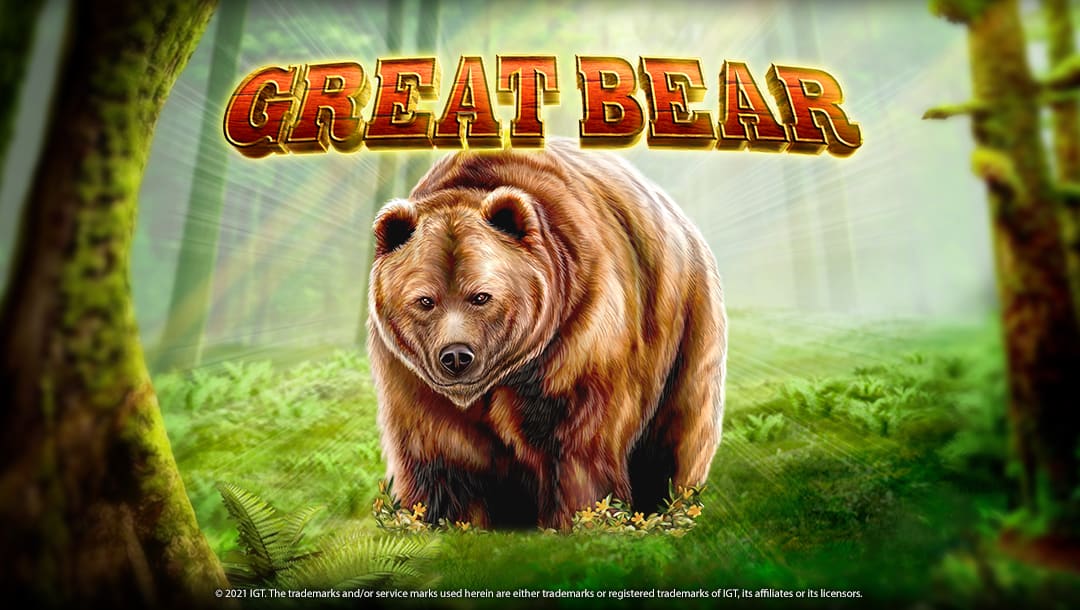 The Great Bear slot game title screen, featuring a majestic brown bear in the center of a lush forest with glowing lighting coming from behind it.