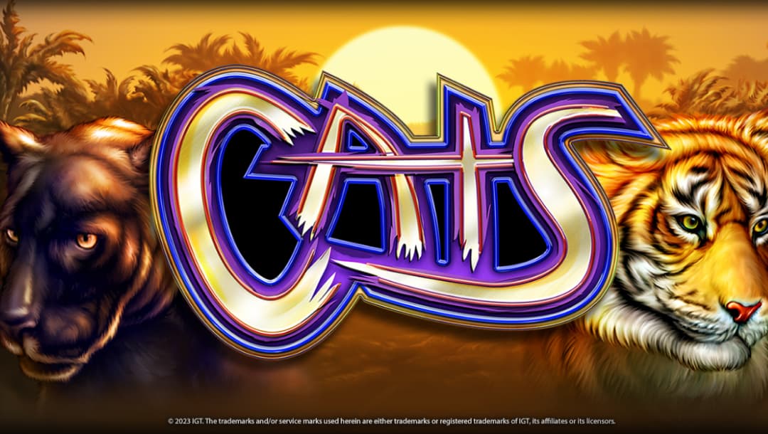 The Cats online slot game, featuring the game logo, a tiger, and a black panther, with a jungle setting in the background.