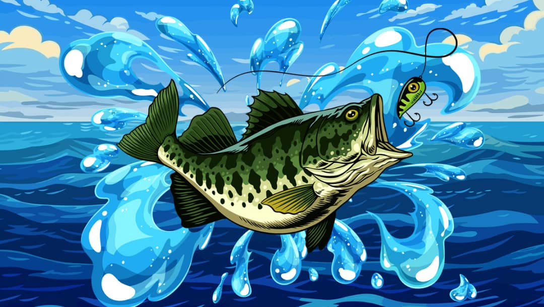 A detailed illustration of a big mouth bass, highlighting its features as it is caught during a fishing expedition.