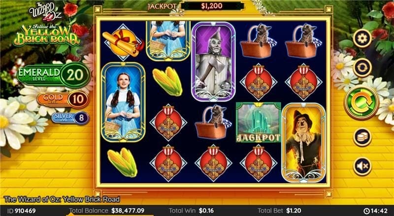 ✨TheWizardofOz × SBPSDunkLowPoppyField✨ The deadly poppy field from set to screen 🌺🌸🌷 #poppies